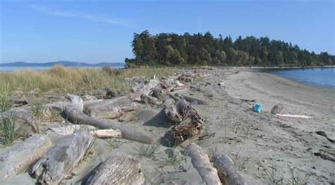 Sidney Spit National Park Reserve Gulf Islands British Columbia