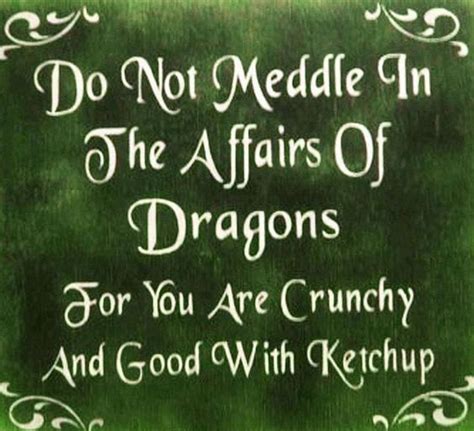 Do Not Meddle in the Affairs of Dragons For You Are Crunchy and Good ...