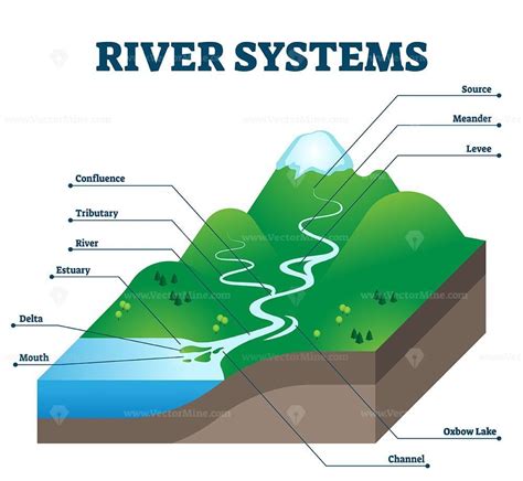 River systems and drainage basin educational structure vector ...