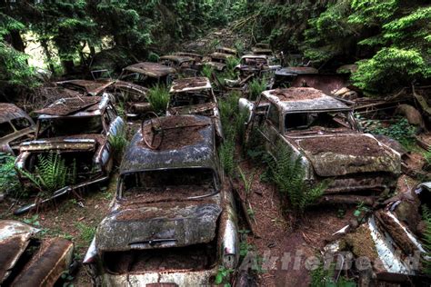 Forest Full of Abandoned Cars Photos | Image #11 - ABC News