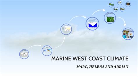 MARINE WEST COAST CLIMATE by Helena Ribera Corominola