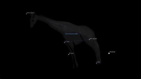 Camelopardalis Constellation – Astrology King