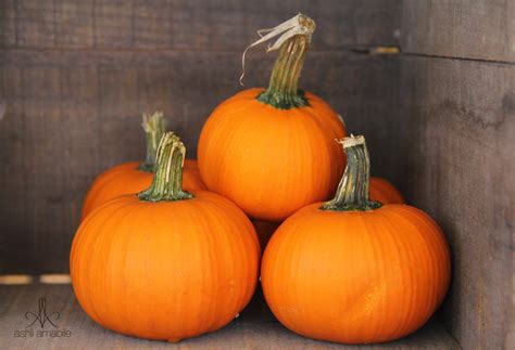 #fall #harvest #pumpkin #color #orange | Orange candle, Fall pumpkins, Pumpkin