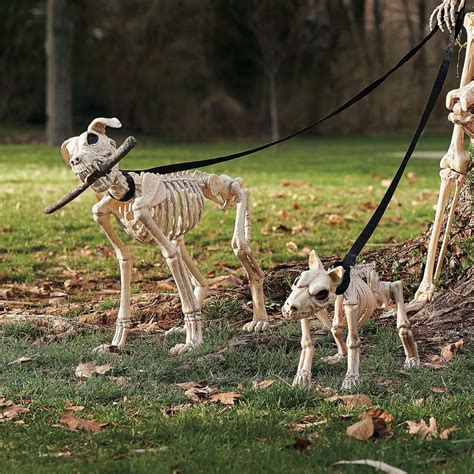 Skeleton Dogs on Leash | Outdoor halloween, Halloween outdoor decorations, Creepy outdoor ...