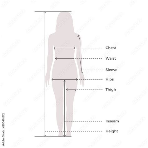 Woman Female Body Measurement Proportions for Clothing Design and ...