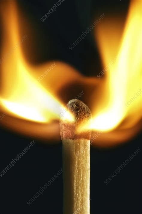 Matchstick on fire - Stock Image - F012/2857 - Science Photo Library