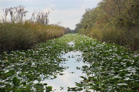 Southern Style Airboat Tours - Florida