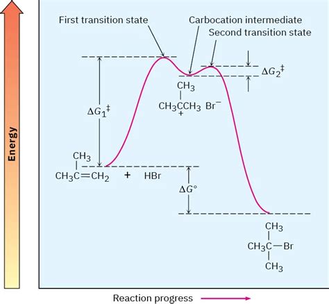 7.8: Electrophilic Addition Reactions of Alkenes - Chemistry LibreTexts