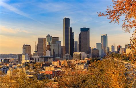 Today Is The Very Peak Of Fall Foliage In Seattle!