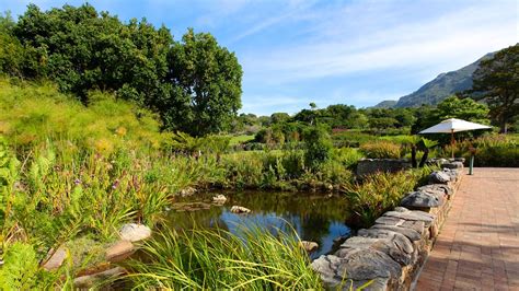 Kirstenbosch National Botanical Gardens in Cape Town, | Expedia