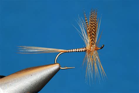 CATSKILL STYLE FLY COLLECTION: DRY FLY BY MIKE VALLA - Fly Fisherman