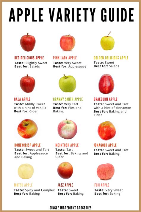 12 of the Best Apple Varieties and How to Use Them Golden Delicious Apple, Red Delicious Apples ...