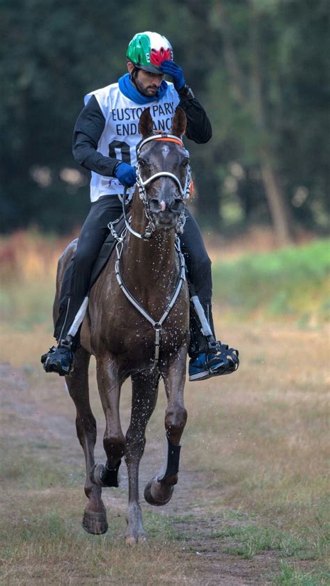 Sheikh Hamdan bin Mohammed bin Rashid Al Maktoum Crown Prince of Dubai 🇦🇪 | Beautiful horse ...