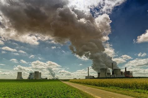 Economía y Medio Ambiente - NUCIF