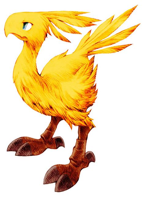 Chocobo | Non-alien Creatures Wiki | FANDOM powered by Wikia