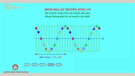 Mô phỏng sự truyền sóng cơ - Vật lý 12 - YouTube