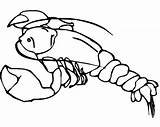 Realistic Lobster Coloring Book To Print And Online sketch template