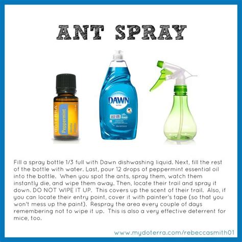 Diy Ant Spray Vinegar - Best Idea DIY