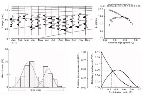 Population parameters of skipjack tuna of Lakshadweep coast of India | Download Scientific Diagram