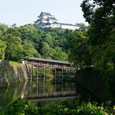 Wakayama Castle: A Sight for the Seasons | Japan Cheapo