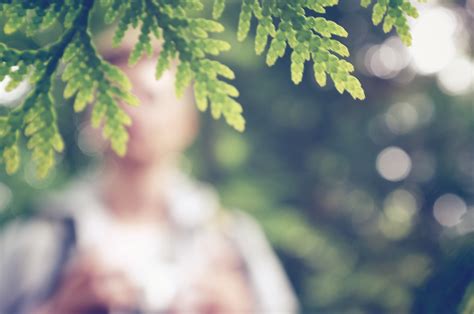 Images Gratuites : homme, arbre, la nature, branche, la personne, plante, la photographie ...