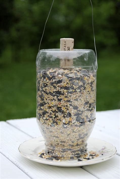 Homemade Bird Food for Wild Birds