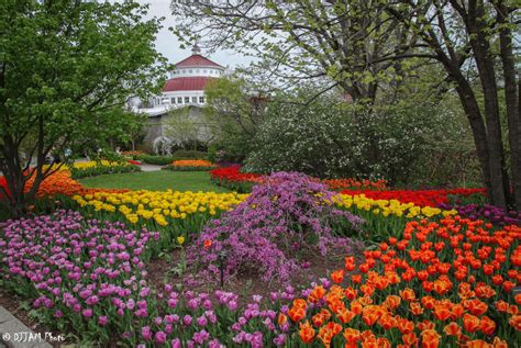 Cincinnati Zoo & Botanical Garden is World’s Newest Level IV Accredited ...