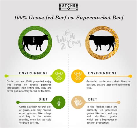 Pharmers Digest | Grass-Fed, Grass-Finished Beef vs. Conventional: The Smarter Choice