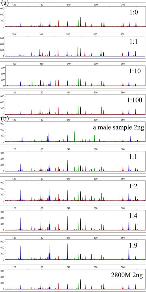 Representative electropherogram of DNA mixture. a Formed by 2800 M... | Download Scientific Diagram