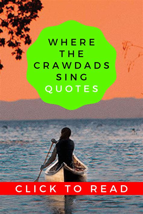 10 Best Where The Crawdads Sing Quotes Images from the Book