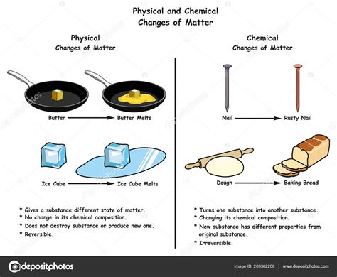 Cambios Físicos Químicos Materia Diagrama Infográfico Una Comparación Con Ejemplos Vector de ...