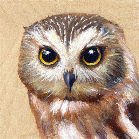 Northern Saw Whet Owl - Bird Art Portrait | Bird art, Bird art print, Saw whet owl