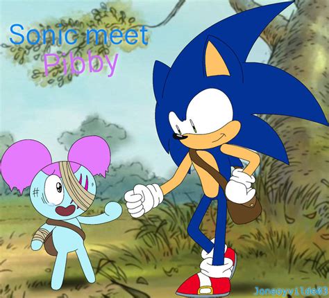 Sonic meet pibby by joneoyvilde03 on DeviantArt