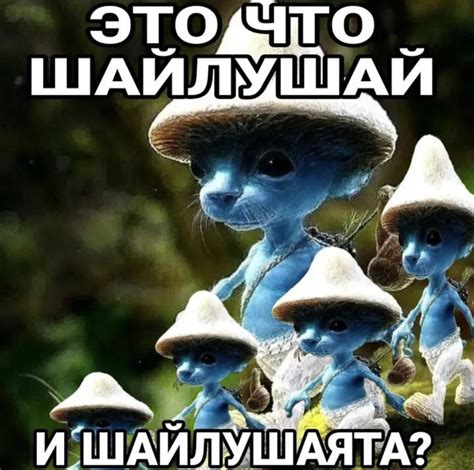 Шайлушай meme | Smurf Cat / Шайлушай | Know Your Meme