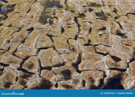 Polygonal Tundra Landscape in Summer Stock Image - Image of change ...