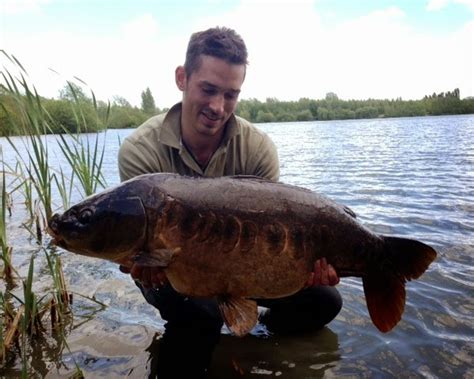 Linear Fisheries Oxford - May 2014