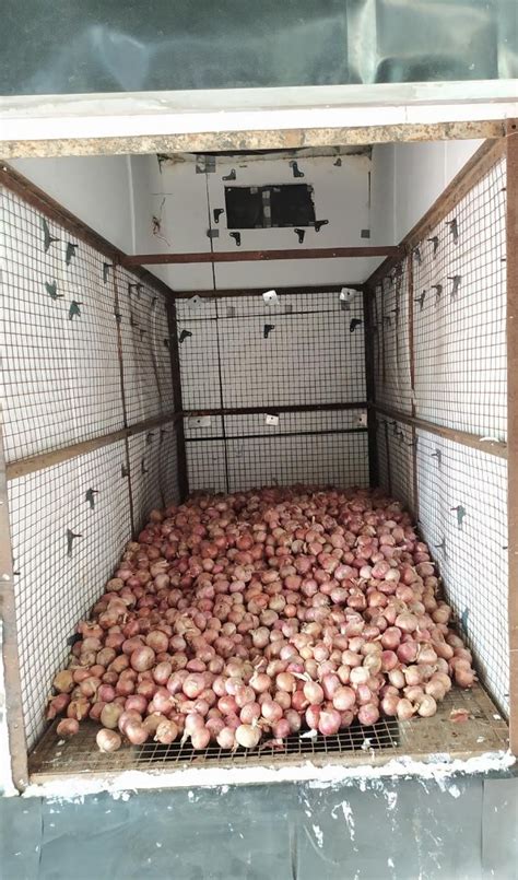 Long Term Onion Storage - Temperate Technologies Private Limited