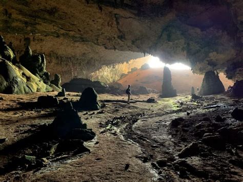 Socotra Island, Yemen丨Guide to the Most Alien-looking Place on Earth - Unusual Traveler