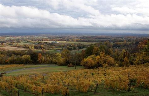 Bluemont Vineyard - Elevate your Expectations, Foggy Bottom Road, Bluemont, Virginia, Tasting ...