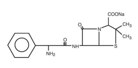 DailyMed - AMPICILLIN AND SULBACTAM- ampicillin sodium and sulbactam sodium injection, powder ...