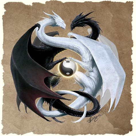 Ying Yang Dragon Wallpaper