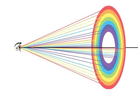 What is the actual shape of a rainbow?