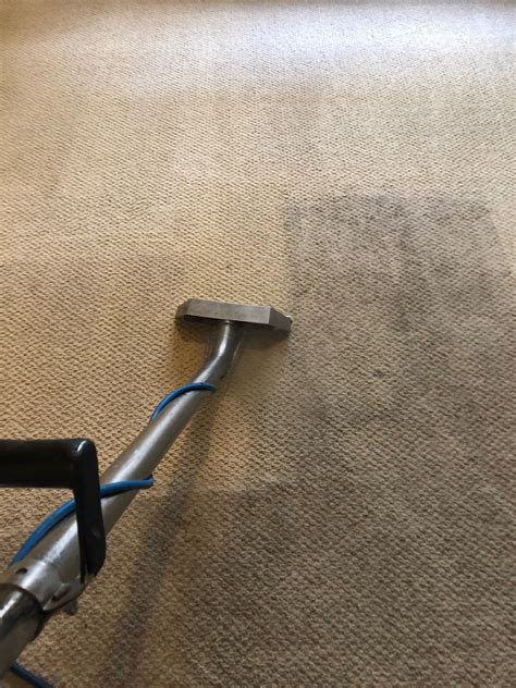 Carpet Cleaning - Pacific Carpet Care