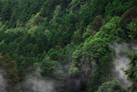 Furnas, Azores: Unique Things To Do in The Furnas Valley