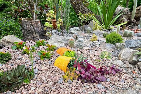 How To Build A Small Garden Rockery | Fasci Garden