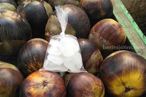 Manfaat Konsumsi Buah Lontar atau Siwalan, Bisa Jadi Tips Cepat Punya Anak