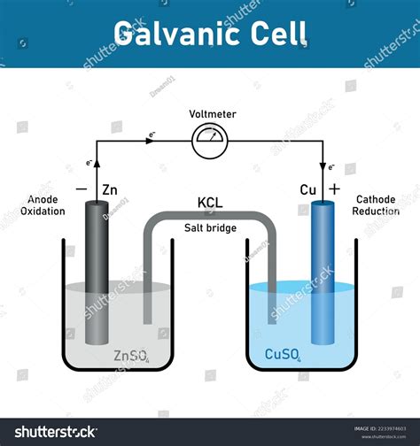 Electrochemical Cell Diagram Galvanic Cell Voltaic Stock, 43% OFF