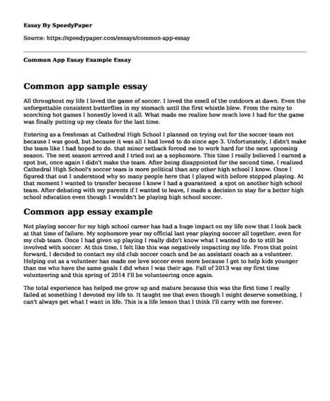 📗 Common App Essay Example | SpeedyPaper.com