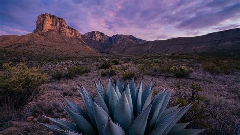 El Capitan at sunrise in Guadalupe Mountains National Park - 高清壁纸 - 浮云网