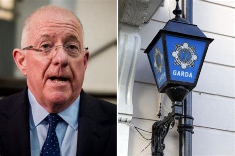 Garda chiefs reveal plans to recruit non-Irish nationals and bolster ranks with Arabic, French ...